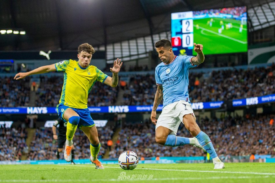 足的核心前 足的核心前